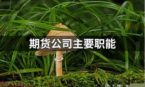 期货学徒(期货学徒怎么样)_科创板_第1张_华信财经网 期货学徒(期货学徒怎么样)_https://www.cangshenghg.com_科创板_第1张