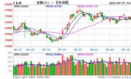 瘦猪肉期货行情(猪肉期货价格走势图2021)_https://www.cangshenghg.com_A股_第1张