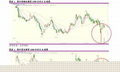油脂周报期货实时行情走势(油脂期货是怎么操作的)_https://www.cangshenghg.com_北交所_第1张