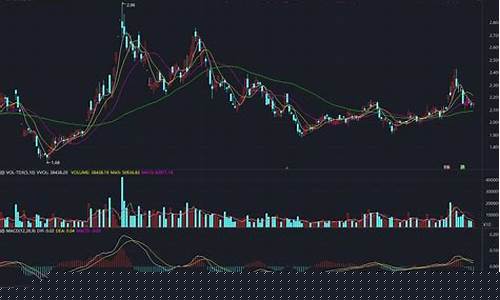 投股入门基础知识(投股是什么意思是什么)_https://www.cangshenghg.com_财经新闻_第1张