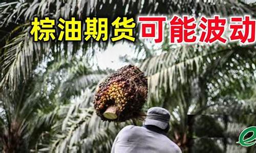 棕榆油期货行情分析_财经新闻_第1张_华信财经网 棕榆油期货行情分析_https://www.cangshenghg.com_财经新闻_第1张