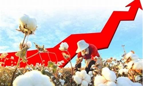 棉花期货出口视频最新行情(棉花期货产品介绍)_https://www.cangshenghg.com_A股_第1张