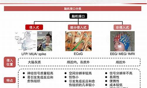 脑机接口的三大龙头企业(中国脑机接口首次成功)_https://www.cangshenghg.com_创业板_第1张