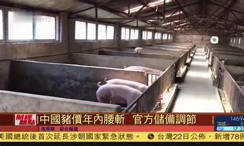 财经直播猪价(财经直播猪价走势图)_https://www.cangshenghg.com_A股_第1张