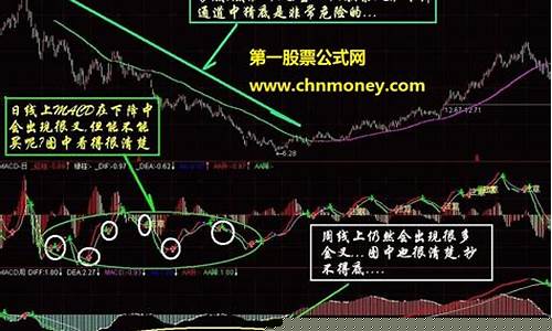 炒股实用指南教程_https://www.cangshenghg.com_创业板_第1张