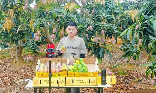芒果期货的直播室(芒果期货的直播室是什么)_https://www.cangshenghg.com_A股_第1张