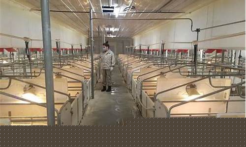 生猪龙头企业上市(生猪龙头企业上市公司排名)_https://www.cangshenghg.com_科创板_第1张