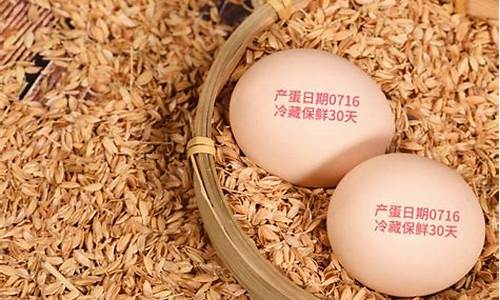 鸡蛋期货直播间(鸡蛋期货最新行情)_https://www.cangshenghg.com_A股_第1张