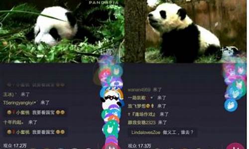 期货熊猫直播间(期货熊猫直播间是真的吗)_https://www.cangshenghg.com_科创板_第1张