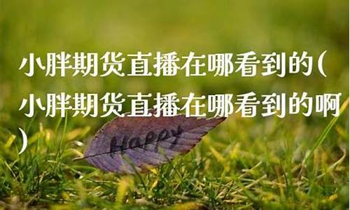小胖期货直播视频下载安装(小胖vlog)_https://www.cangshenghg.com_财经新闻_第1张