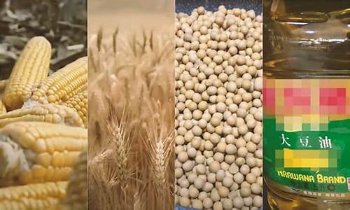 芝加哥大豆期货(芝加哥大豆期货实时行情)_https://www.cangshenghg.com_科创板_第1张