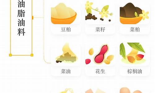 期货品种(期货品种手续费)_https://www.cangshenghg.com_北交所_第1张