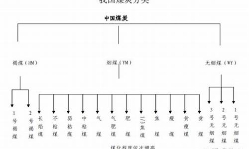 期货动力煤是什么品种(动力煤期货zcm)_https://www.cangshenghg.com_创业板_第1张