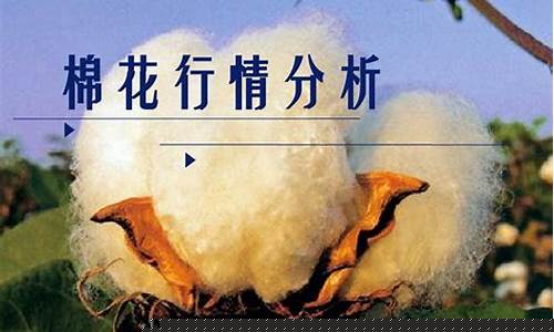 棉花期货1701(棉花期货17000籽棉多少钱一公斤价格)_https://www.cangshenghg.com_科创板_第1张