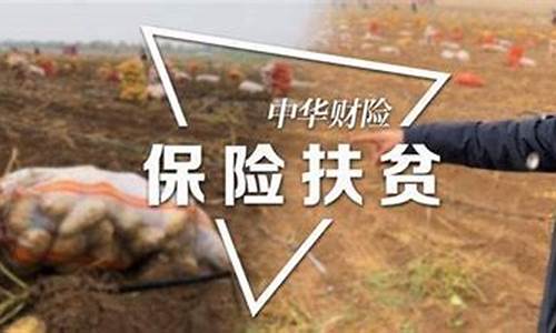 期货致贫_https://www.cangshenghg.com_A股_第1张