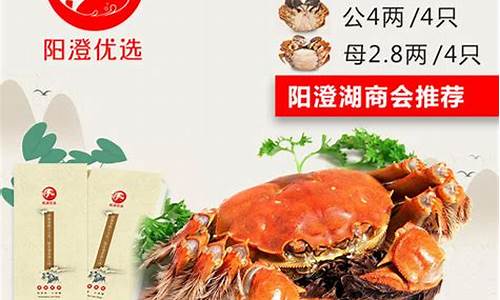 大闸蟹期货(大闸蟹行情走势分析)_https://www.cangshenghg.com_科创板_第1张