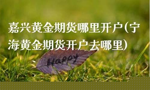 嘉兴期货开户(嘉兴期货营业部排名)_https://www.cangshenghg.com_A股_第1张