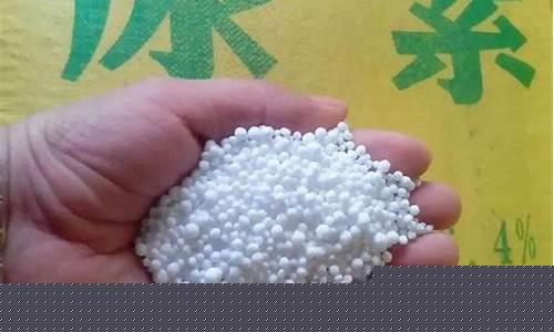 尿素期货(尿素期货价格走势图)_https://www.cangshenghg.com_A股_第1张