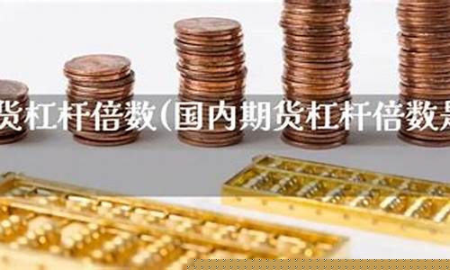 国内期货多少杠杆(期货一般多少杠杆)_https://www.cangshenghg.com_科创板_第1张