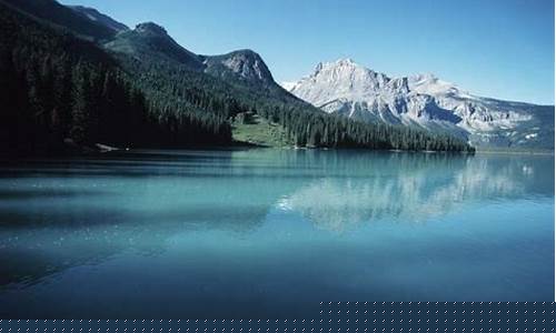 期货心酸史(期货最惨者真实的故事)_https://www.cangshenghg.com_科创板_第1张