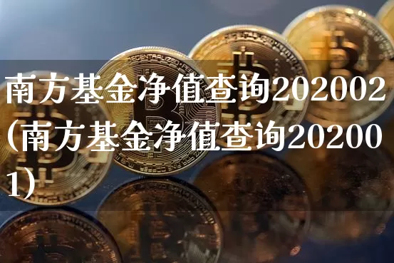 南方基金净值查询202002(南方基金净值查询202001)_https://www.cangshenghg.com_科创板_第1张