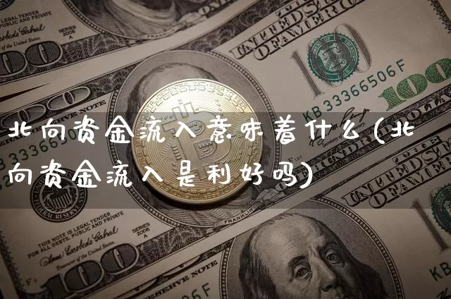 北向资金流入意味着什么(北向资金流入是利好吗)_https://www.cangshenghg.com_北交所_第1张