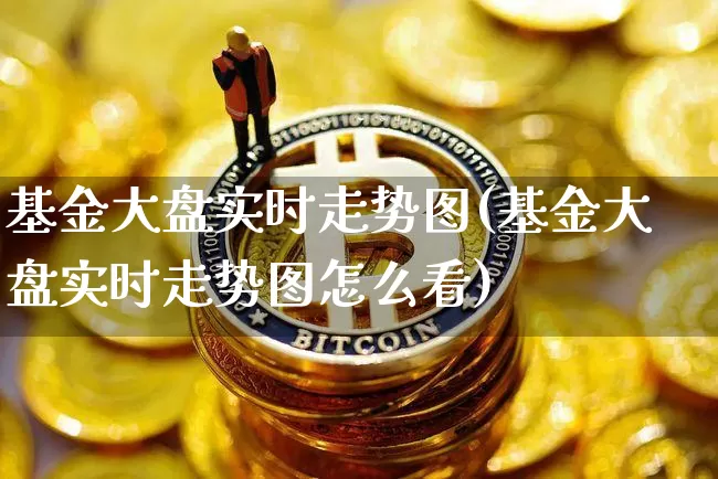 基金大盘实时走势图(基金大盘实时走势图怎么看)_https://www.cangshenghg.com_科创板_第1张