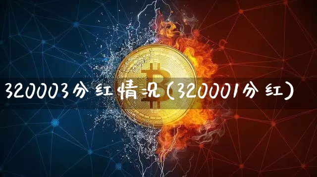 320003分红情况(320001分红)_https://www.cangshenghg.com_北交所_第1张
