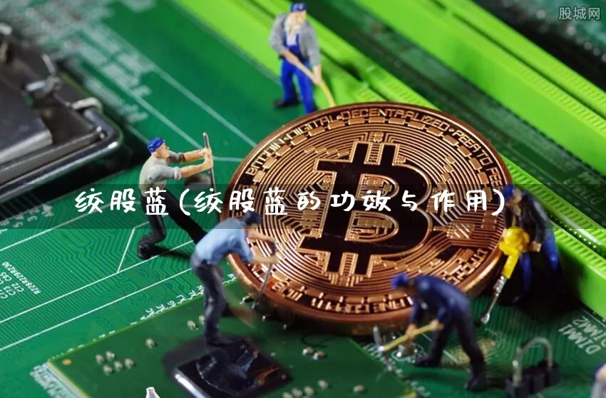 绞股蓝(绞股蓝的功效与作用)_https://www.cangshenghg.com_科创板_第1张