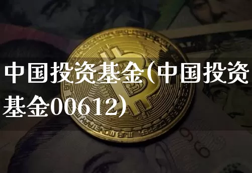 中国投资基金(中国投资基金00612)_https://www.cangshenghg.com_科创板_第1张