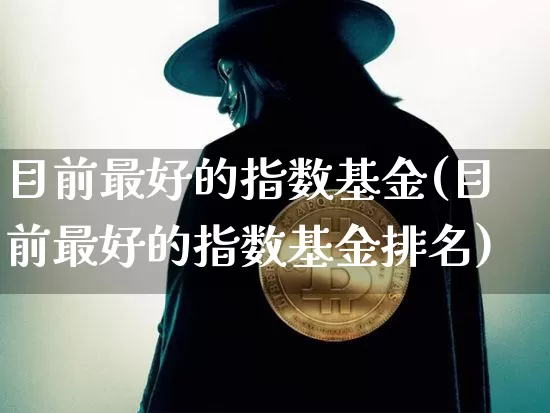 目前最好的指数基金(目前最好的指数基金排名)_https://www.cangshenghg.com_北交所_第1张