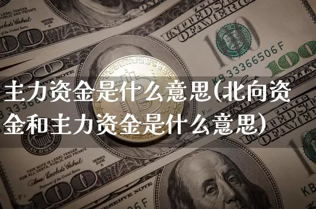 主力资金是什么意思(北向资金和主力资金是什么意思)_https://www.cangshenghg.com_创业板_第1张