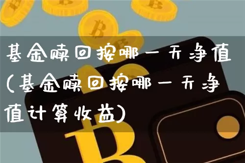 基金赎回按哪一天净值(基金赎回按哪一天净值计算收益)_https://www.cangshenghg.com_北交所_第1张