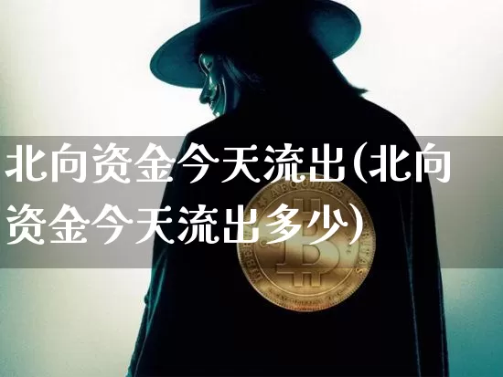 北向资金今天流出(北向资金今天流出多少)_https://www.cangshenghg.com_科创板_第1张