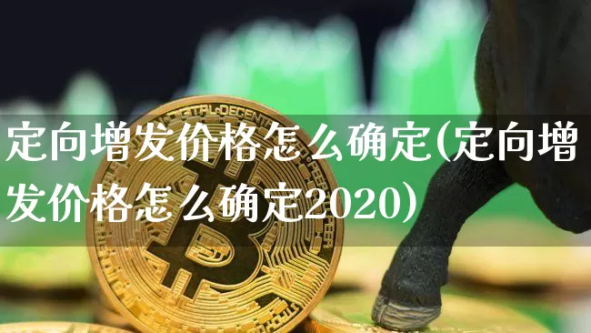 定向增发价格怎么确定(定向增发价格怎么确定2020)_https://www.cangshenghg.com_创业板_第1张