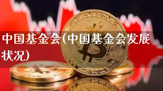 中国基金会(中国基金会发展状况)_https://www.cangshenghg.com_北交所_第1张