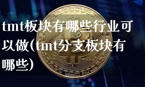 tmt板块有哪些行业可以做(tmt分支板块有哪些)_https://www.cangshenghg.com_A股_第1张