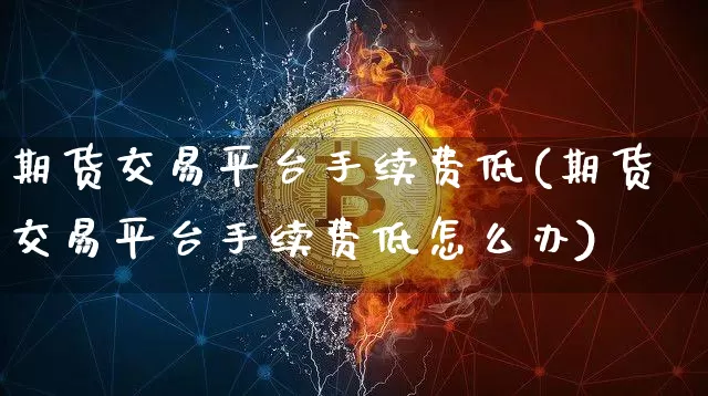 期货交易平台手续费低(期货交易平台手续费低怎么办)_https://www.cangshenghg.com_A股_第1张