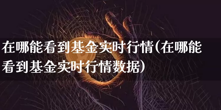在哪能看到基金实时行情(在哪能看到基金实时行情数据)_https://www.cangshenghg.com_科创板_第1张