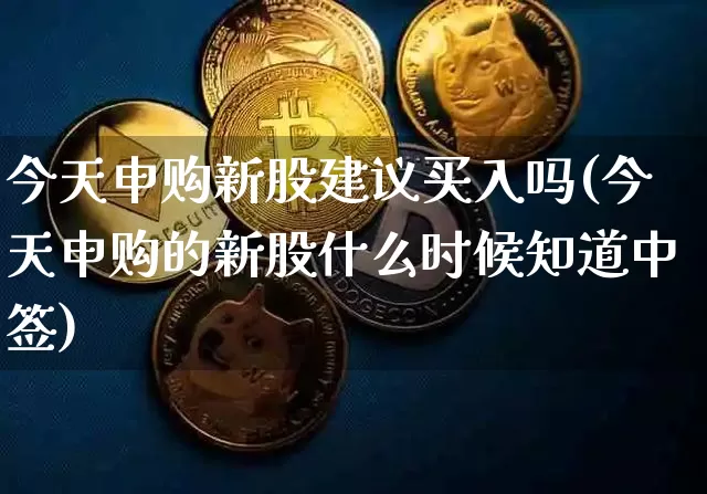 今天申购新股建议买入吗(今天申购的新股什么时候知道中签)_https://www.cangshenghg.com_科创板_第1张