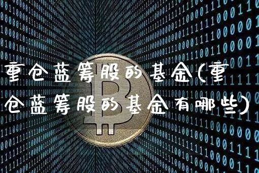 重仓蓝筹股的基金(重仓蓝筹股的基金有哪些)_https://www.cangshenghg.com_科创板_第1张