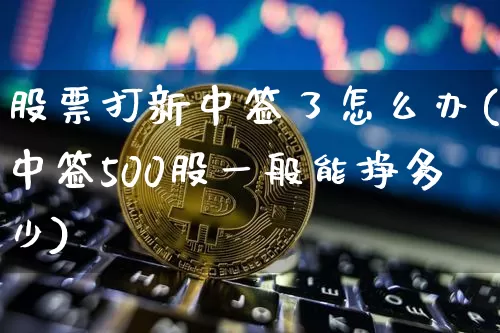 股票打新中签了怎么办(中签500股一般能挣多少)_https://www.cangshenghg.com_创业板_第1张