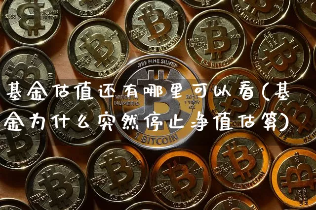 基金估值还有哪里可以看(基金为什么突然停止净值估算)_财经新闻_第1张_华信财经网 基金估值还有哪里可以看(基金为什么突然停止净值估算)_https://www.cangshenghg.com_财经新闻_第1张