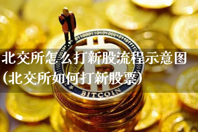 北交所怎么打新股流程示意图(北交所如何打新股票)_https://www.cangshenghg.com_财经新闻_第1张