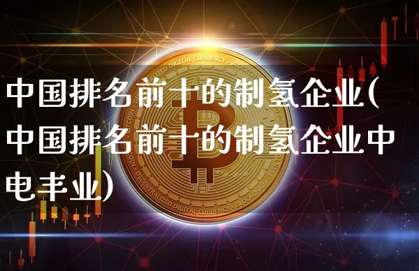 中国排名前十的制氢企业(中国排名前十的制氢企业中电丰业)_https://www.cangshenghg.com_财经新闻_第1张