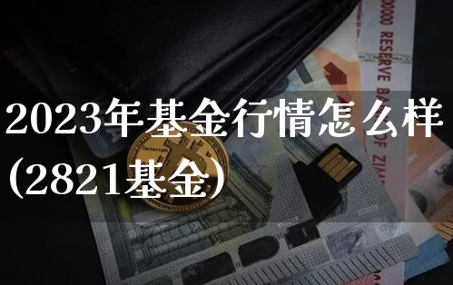 2023年基金行情怎么样(2821基金)_https://www.cangshenghg.com_A股_第1张