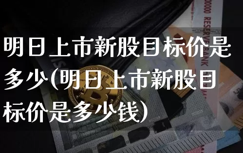 明日上市新股目标价是多少(明日上市新股目标价是多少钱)_https://www.cangshenghg.com_财经新闻_第1张