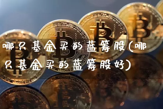 哪只基金买的蓝筹股(哪只基金买的蓝筹股好)_https://www.cangshenghg.com_财经新闻_第1张