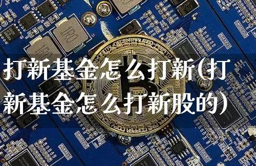 打新基金怎么打新(打新基金怎么打新股的)_https://www.cangshenghg.com_北交所_第1张