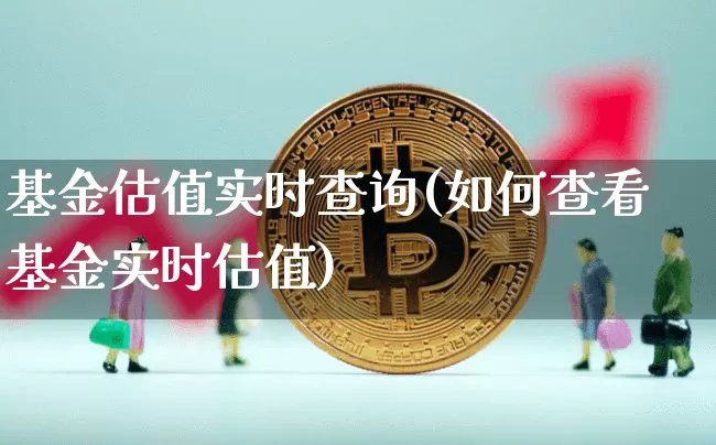 基金估值实时查询(如何查看基金实时估值)_https://www.cangshenghg.com_北交所_第1张